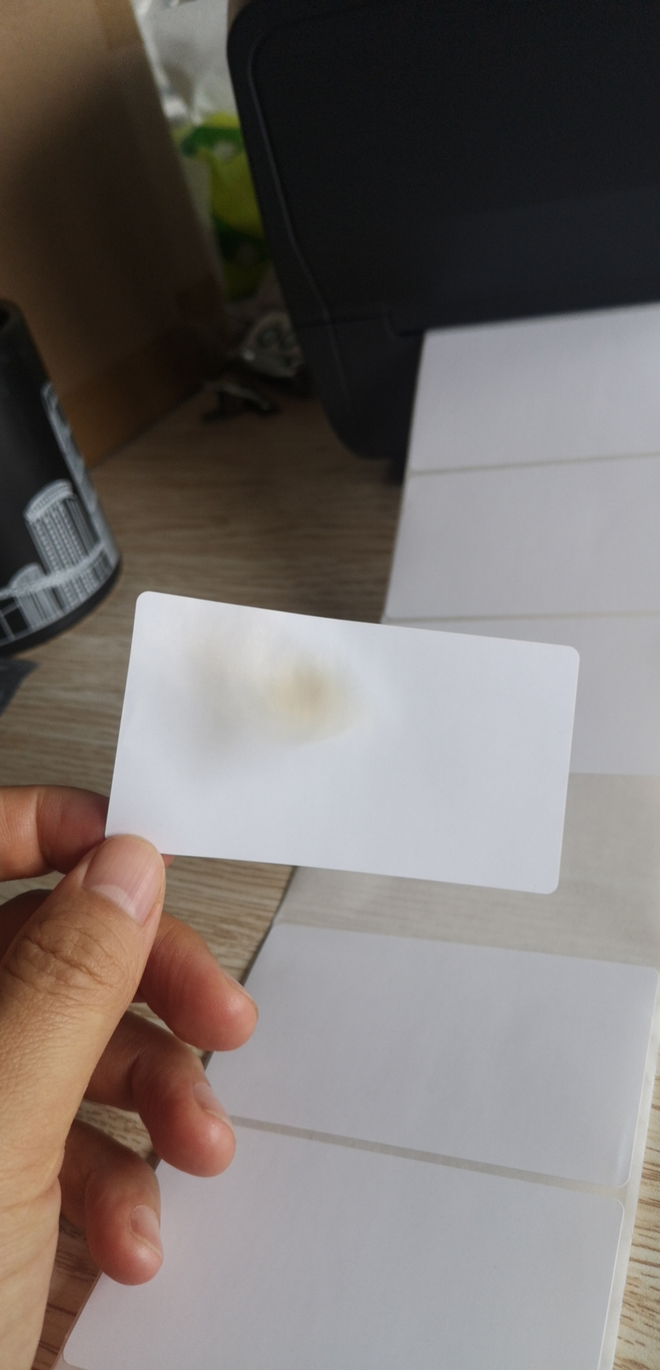 总攻男男双性高H浪荡小说