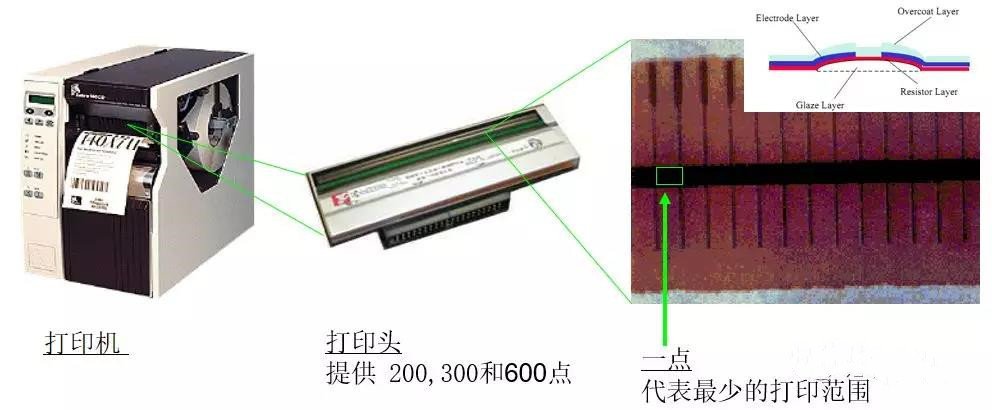 总攻男男双性高H浪荡小说
