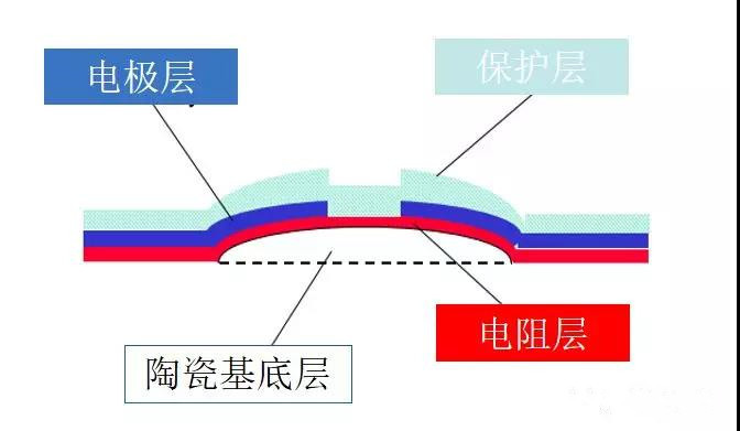 总攻男男双性高H浪荡小说