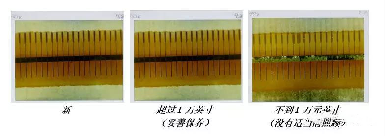 总攻男男双性高H浪荡小说
