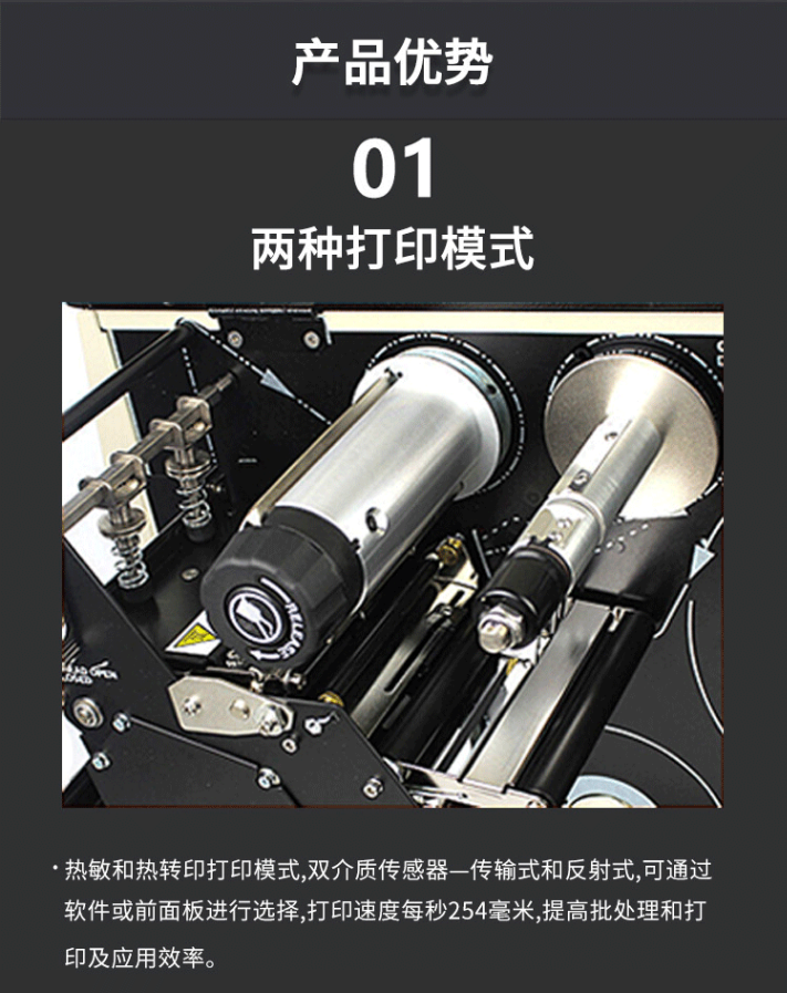 总攻男男双性高H浪荡小说