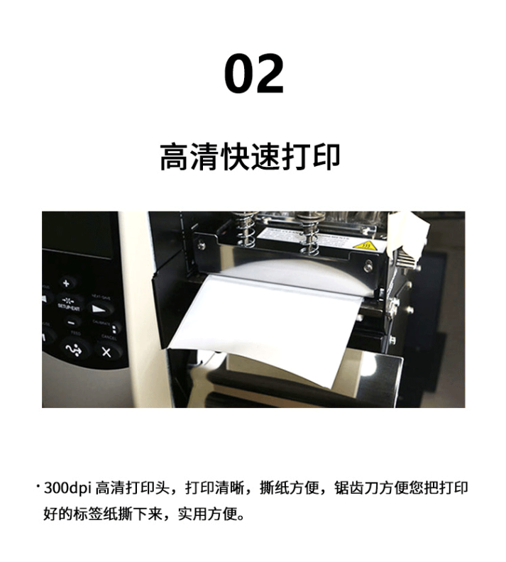 总攻男男双性高H浪荡小说