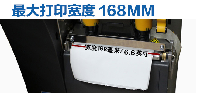 总攻男男双性高H浪荡小说